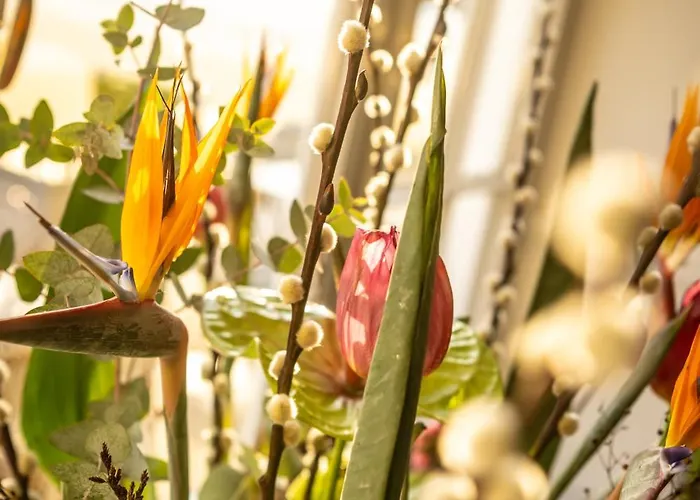 מלון Alex An Der Ahr 4*